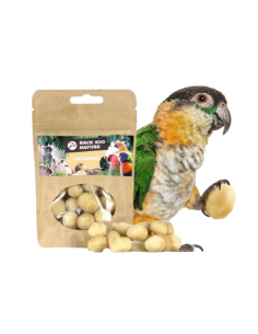 Macadamia Nuts gr 50. Snack per Uccelli