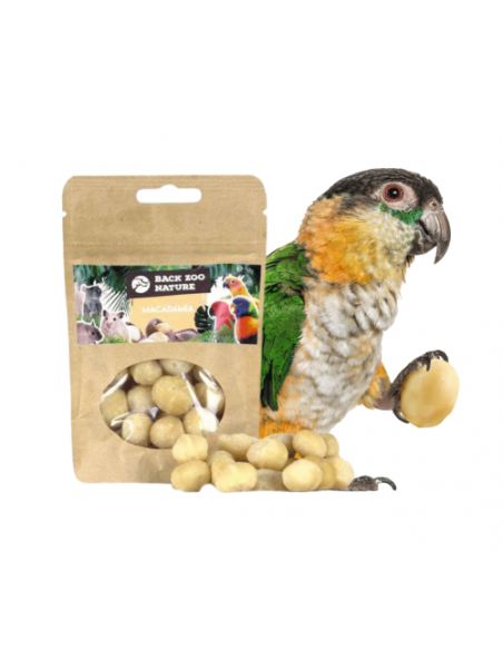 Macadamia Nuts gr 50. Snack per Uccelli