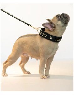 Liu Jo Collare Jacquard Nero Misura xl . Collari e Guinzagli per cani. 2