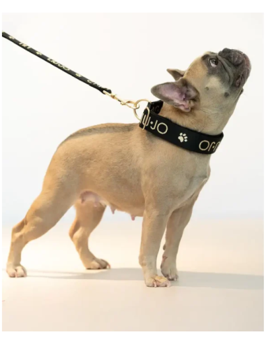 Liu Jo Collare Jacquard Nero Misura xsmall . Collari e Guinzagli per cani.