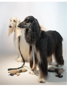 Liu Jo Guinzaglio Jacquard Nero Taglia 2. Collari e Guinzagli per cani. 2