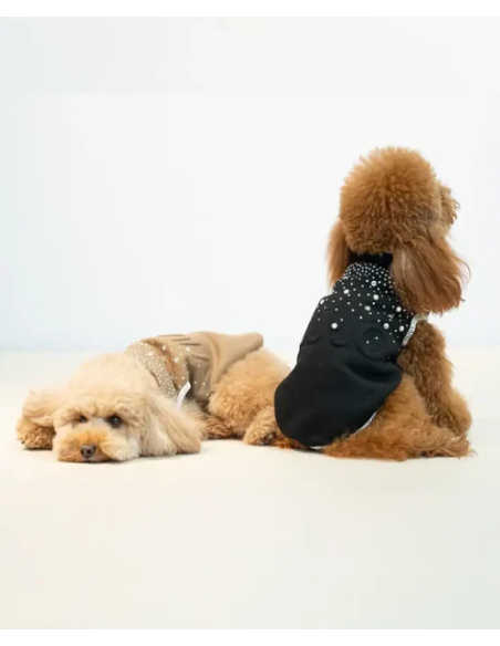 Liu Jo Felpa Logo Brillantini  misura xxlargeCaramello. Abbigliamento per cani.