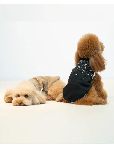 liu jo Felpa e brillantini misura media nero. abbigliamento per cani