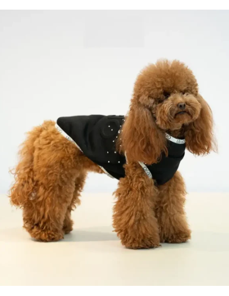 Liu Jo Felpa Logo Brillantini  misura small /medium Caramello. Abbigliamento per cani.