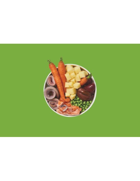 Lily's Kitchen Adult Tacchino Salmone e Aringa gr.400.Cibo Umido per cani.