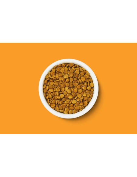 Lily's Kitchen Adult Pesce Bianco e Salmone kg.2.Cibo Secco Per Gatti.