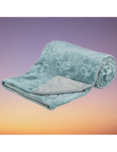 Coperta Barry 150x100 cm Grigio /blu. Cucce e letti per cani.