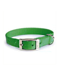 Collare Nylon 15x450 mm verde  . Collari e Guinzagli per cani.