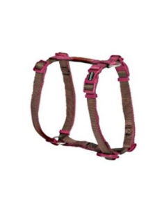 Pettorale Regolabile H Double Premium 20x450 mm Marrone Ciclamino . Collari e Guinzagli per cani