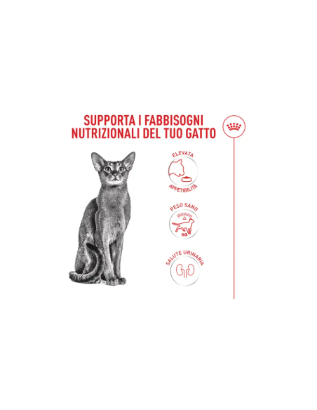 Fussy Exigent kg 2.Cibo Secco Per Gatti .