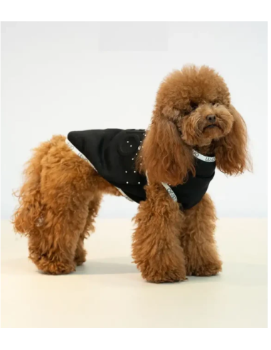 Liu Jo Felpa Logo Brillantini  misura xsmall Nero. Abbigliamento per cani