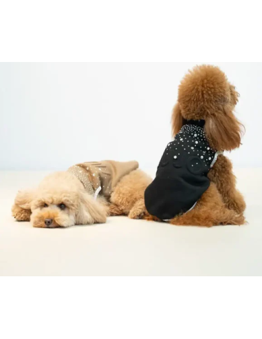 Liu Jo Felpa Logo e Brillantini Misura Large  Caramello. Abbigliamento per cani.  .