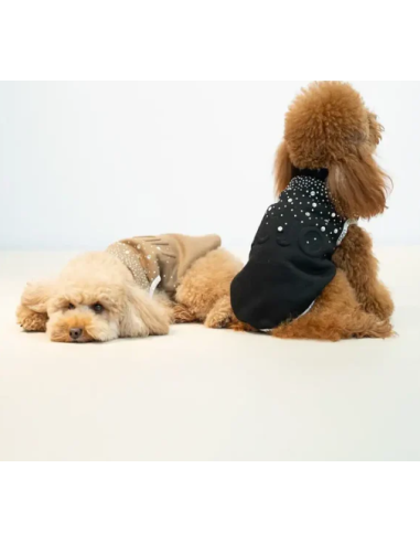 Liu Jo Felpa Logo e Brillantini Misura Large  Caramello. Abbigliamento per cani.  .