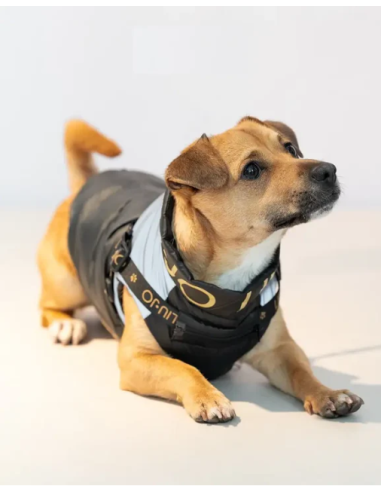 Liu Jo Piumino Con Pettorina misura xlarge . Abbigliamento per cani.