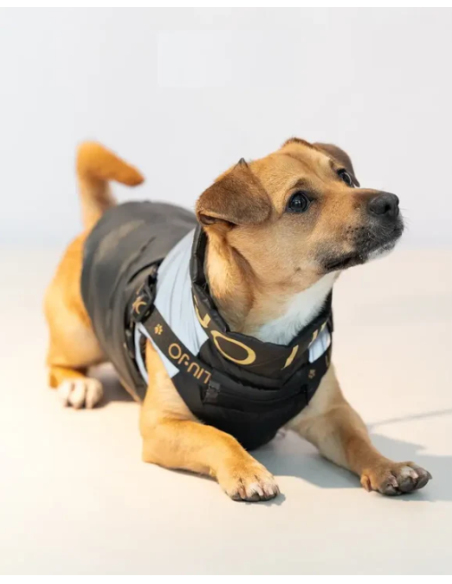 Liu Jo Piumino Con Pettorina misura xlarge . Abbigliamento per cani.