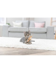 Canna Da Pesca Cuoricino. Giochi per gatti. 2