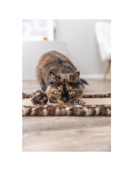 Canna Da Pesca Cuoricino. Giochi per gatti.