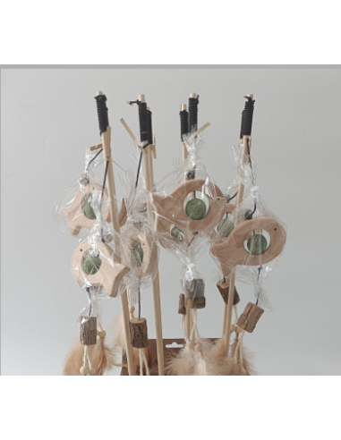 Canna Da pesca Pesce Erba Gatta . Giochi per gatti .