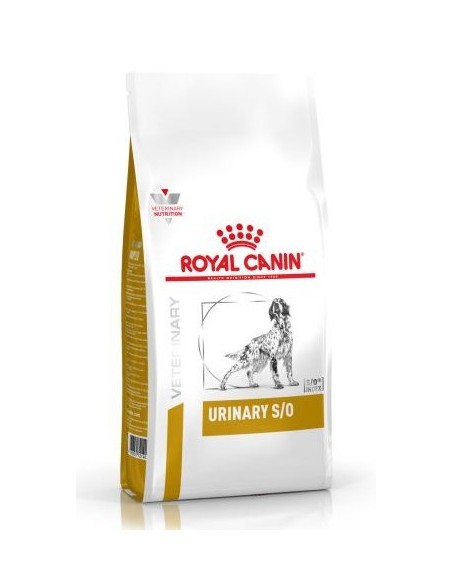 URINARY KG.2 ROYAL CANIN