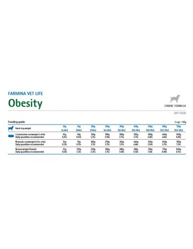 VET LIFE DOG OBESITY KG.12