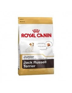 JACK RUSSEL JUNIOR KG.1,5