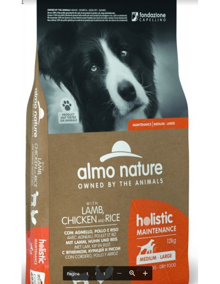 HOLISTIC DOG M-L AGNELLO POLLO E RISO KG.12