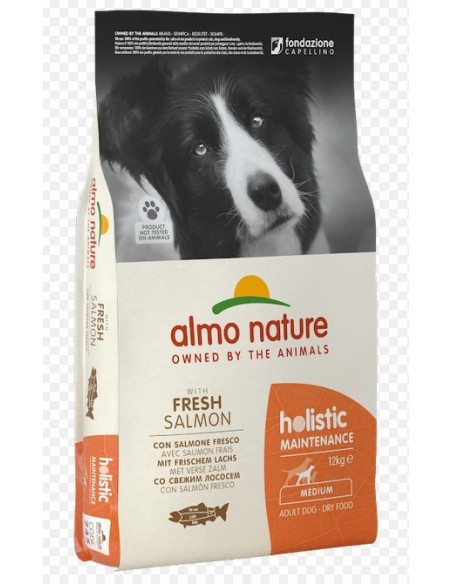 HOLISTIC DOGS MEDIUM SALMONE KG.12