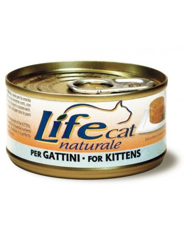 LIFE CAT KITTEN pollo GR.85..