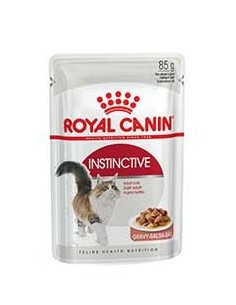 INSTINCTIVE BUSTA GRAVY GR 85 ROYAL C.