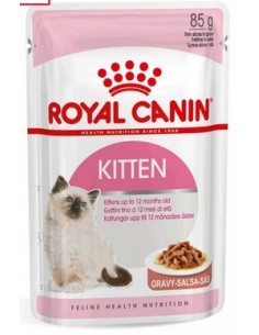 KITTEN INSTINCTIVE BUSTA GRAVY GR 85 ROYAL C.
