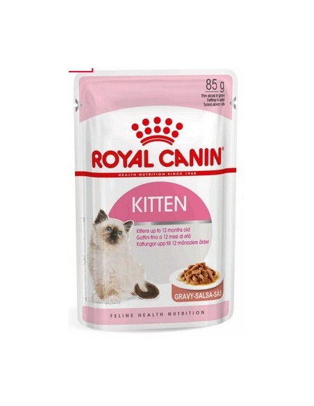 KITTEN INSTINCTIVE BUSTA GRAVY GR 85 ROYAL C.