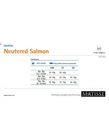 MATISSE NEUTERED salmone GR.400