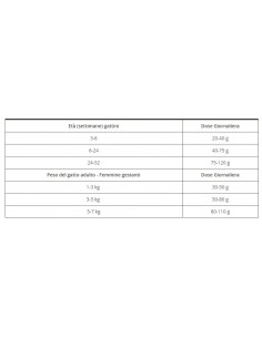 Libra cat Kitten Kg 1,5 Pollo. Cibo Secco per Gattini 2