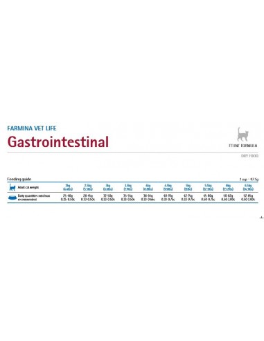 VET LIFE CAT GASTRO INTESTINAL GR.400