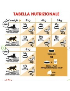 Persian Royal Canin gr 400. Cibo secco per gatti 2