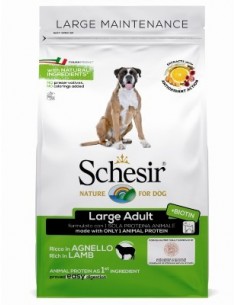 SCHESIR LARGE AGNELLO KG.12 PROMO