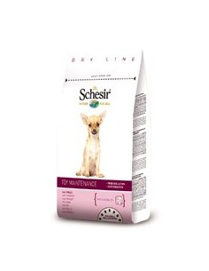 SCHESIR TOY POLLO GR.800