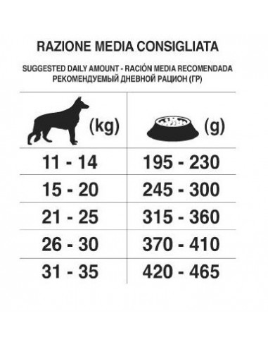 FORZA 10 MANTENIMENTO AGNELLO E RISO KG.12,5