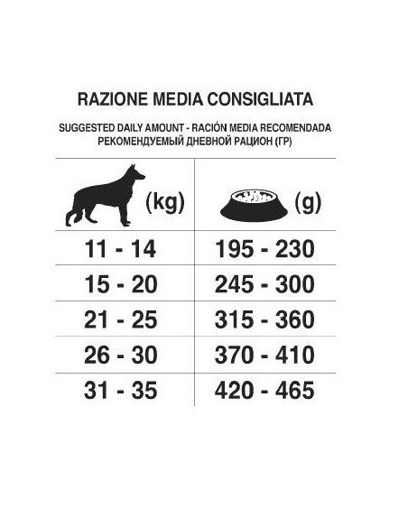 FORZA 10 MANTENIMENTO AGNELLO E RISO KG.12,5