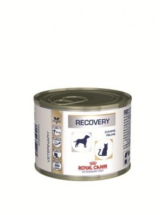 RECOVERY GR.195 PER CANI E GATTI