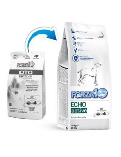 FORZA 10 ECHO ( OTO ACTIVE) KG. 4