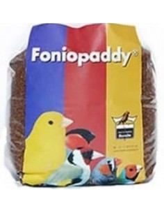 Foniopaddy Semi kg 1. Mangime Per Uccelli 2