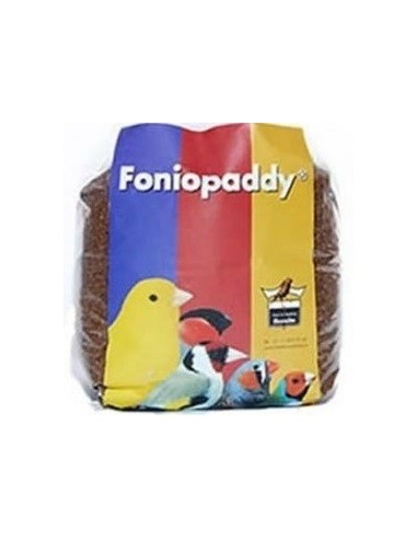 FONIOPADDY SEMI KG.1