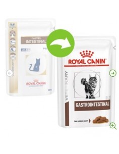 GASTROINTESTINAL CAT GR.85