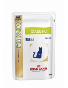 DIABETIC CAT BUSTA GATTO GR.85