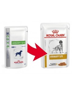 URINARY DOG s/o BUSTA GR.100