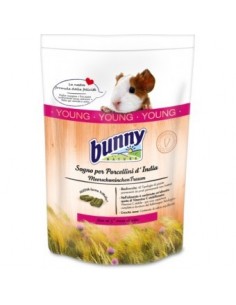 BUNNY SOGNO PORCELLINI D'INDIA young GR.750