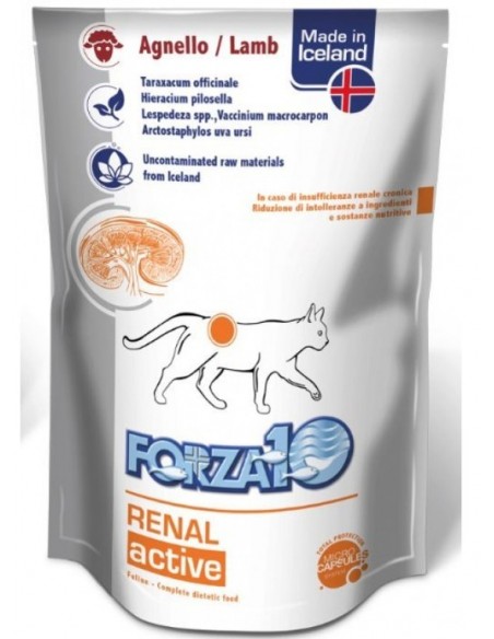 FORZA 10 RENAL ACTIWET AGNELLO GR.100 GATTO