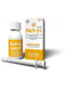 NEFRYS 100 ML INNOVET
