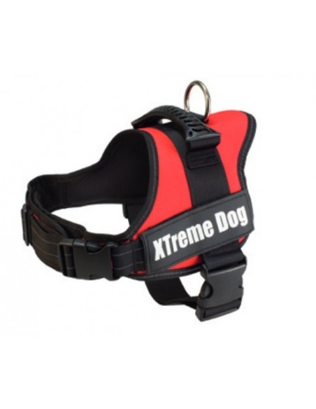 PETT.EXTREME DOG TG.M ROSSO ARQUIVET